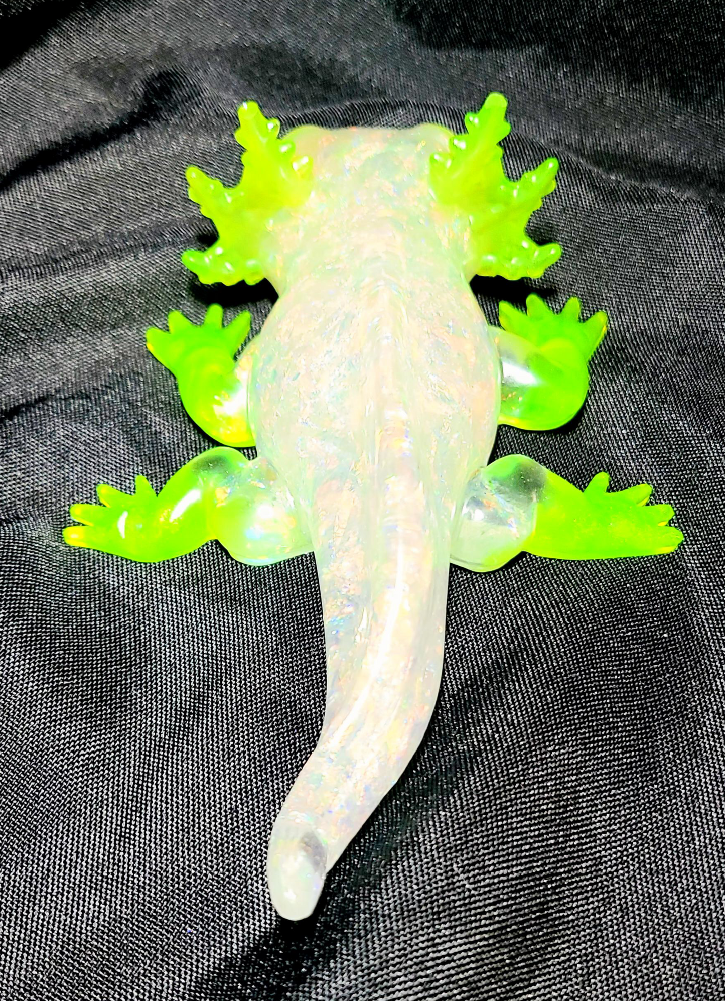 Axolotl