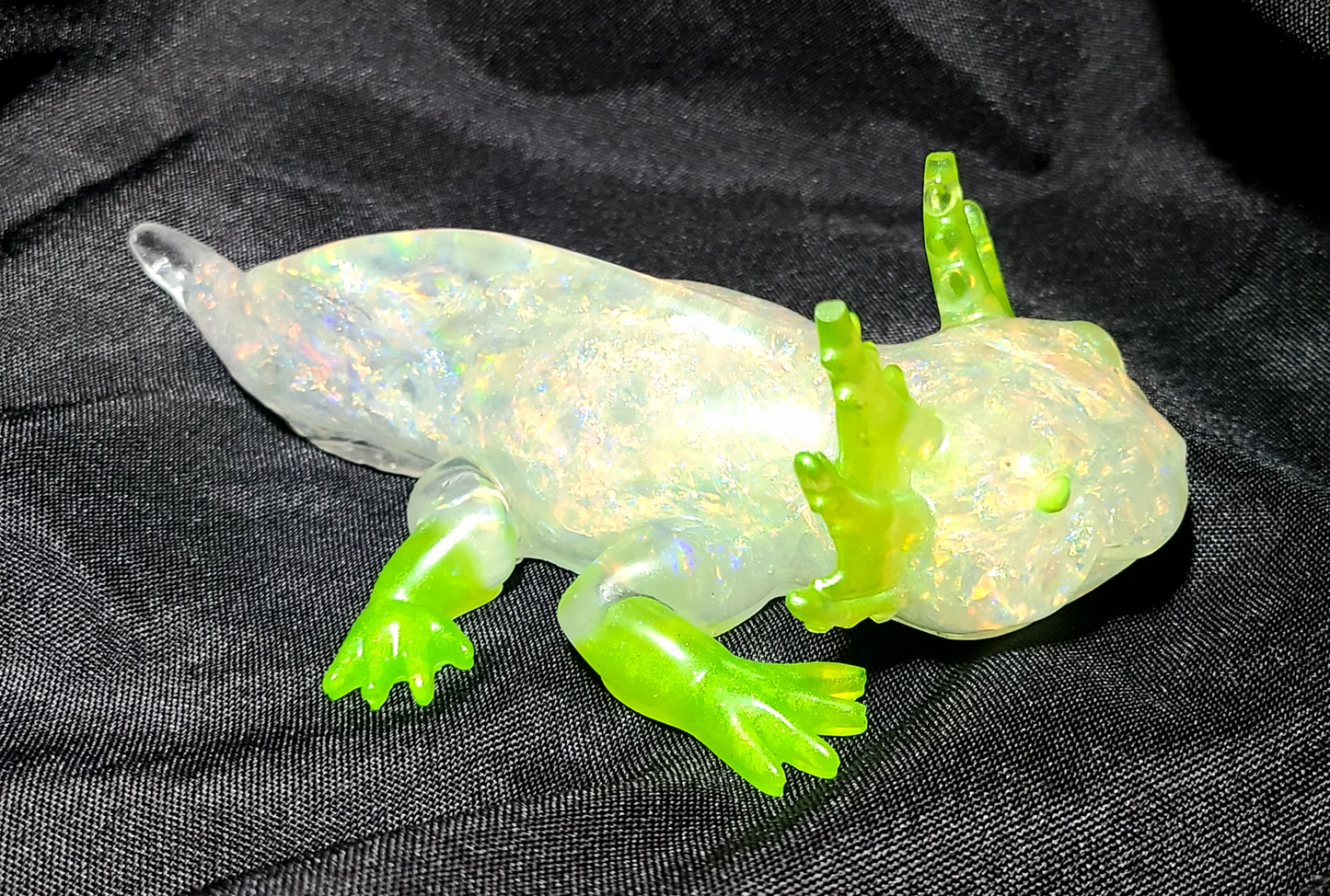Axolotl