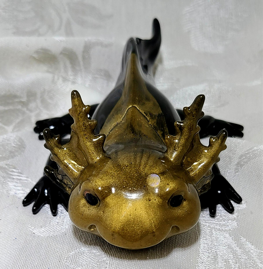 Axolotl