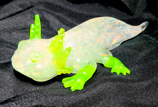Axolotl