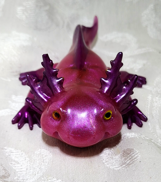Axolotl