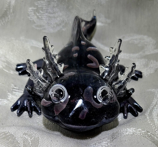Axolotl